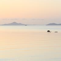 Colours of Dawn