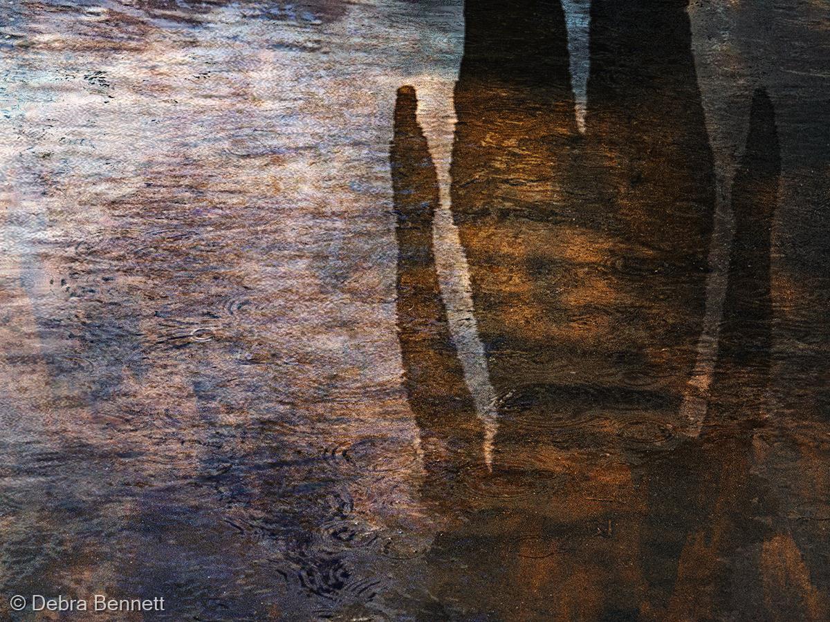 Stand Tall by Debra Bennett
