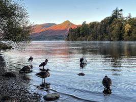 Derwentwater Dawn