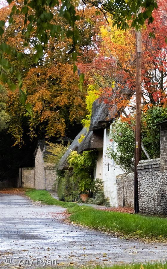 Autumn in Great Wilbraham by Tony Ryan