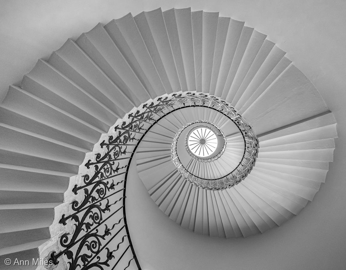 Spiral Staircase by Ann Miles