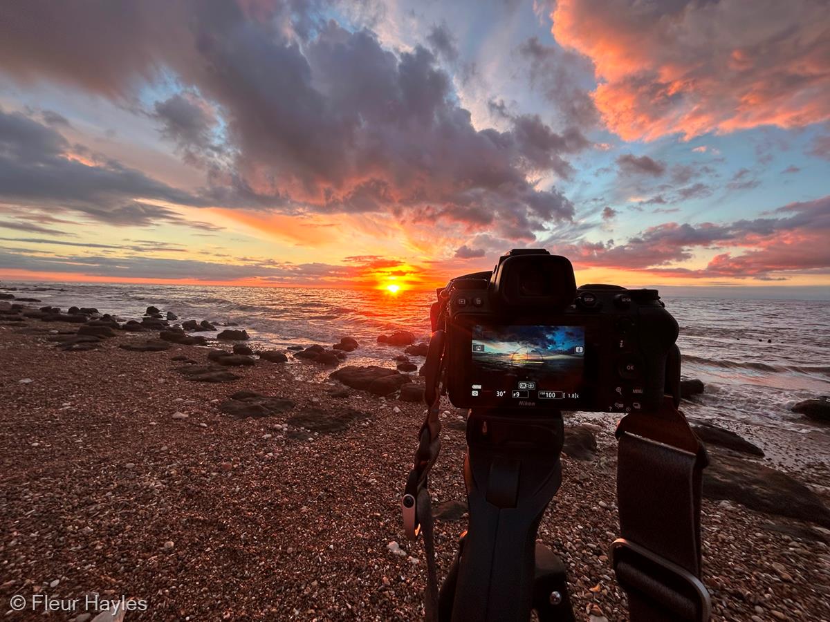 Sunny Hunny Sunset by Fleur Hayles