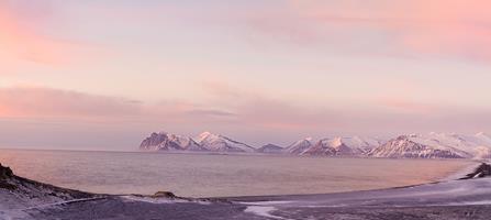 Lón Bay, Iceland