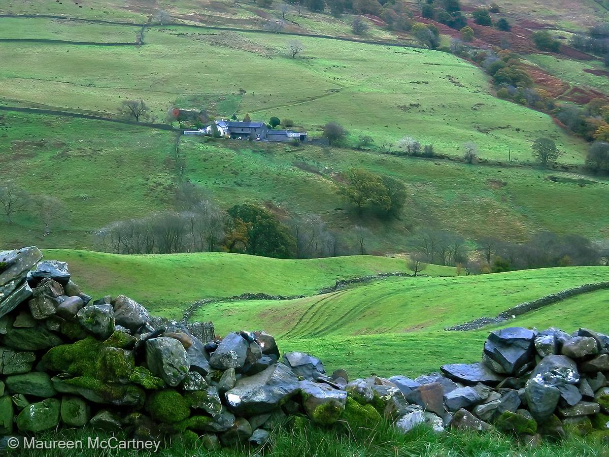 Farm near Kirkstone Pass by Maureen McCartney