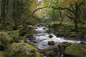 The River Plym on Dartmoor