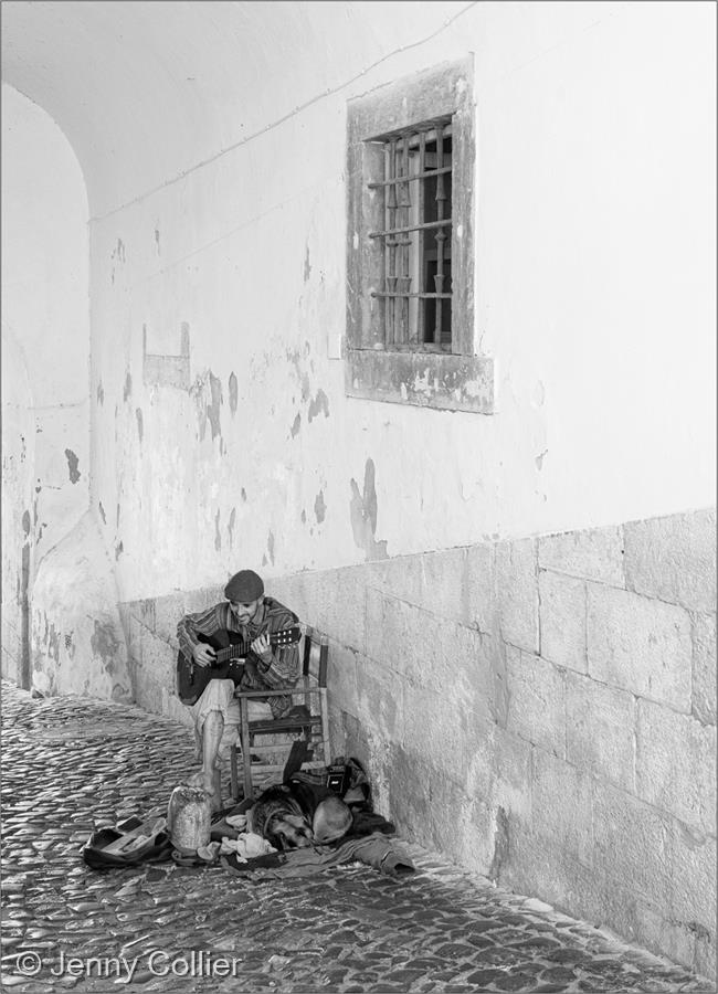 The Busker by Jenny Collier