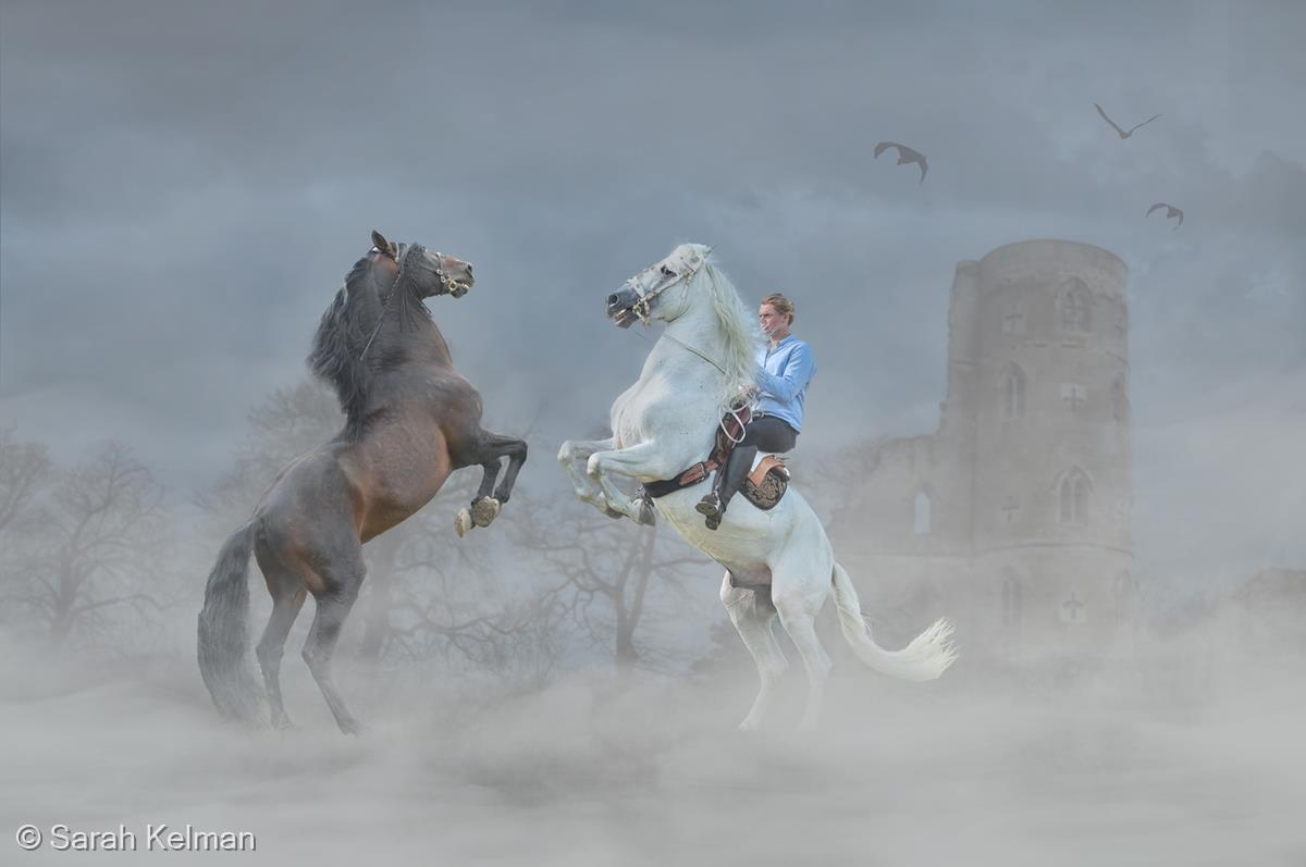 Battle of the Stallions by Sarah Kelman