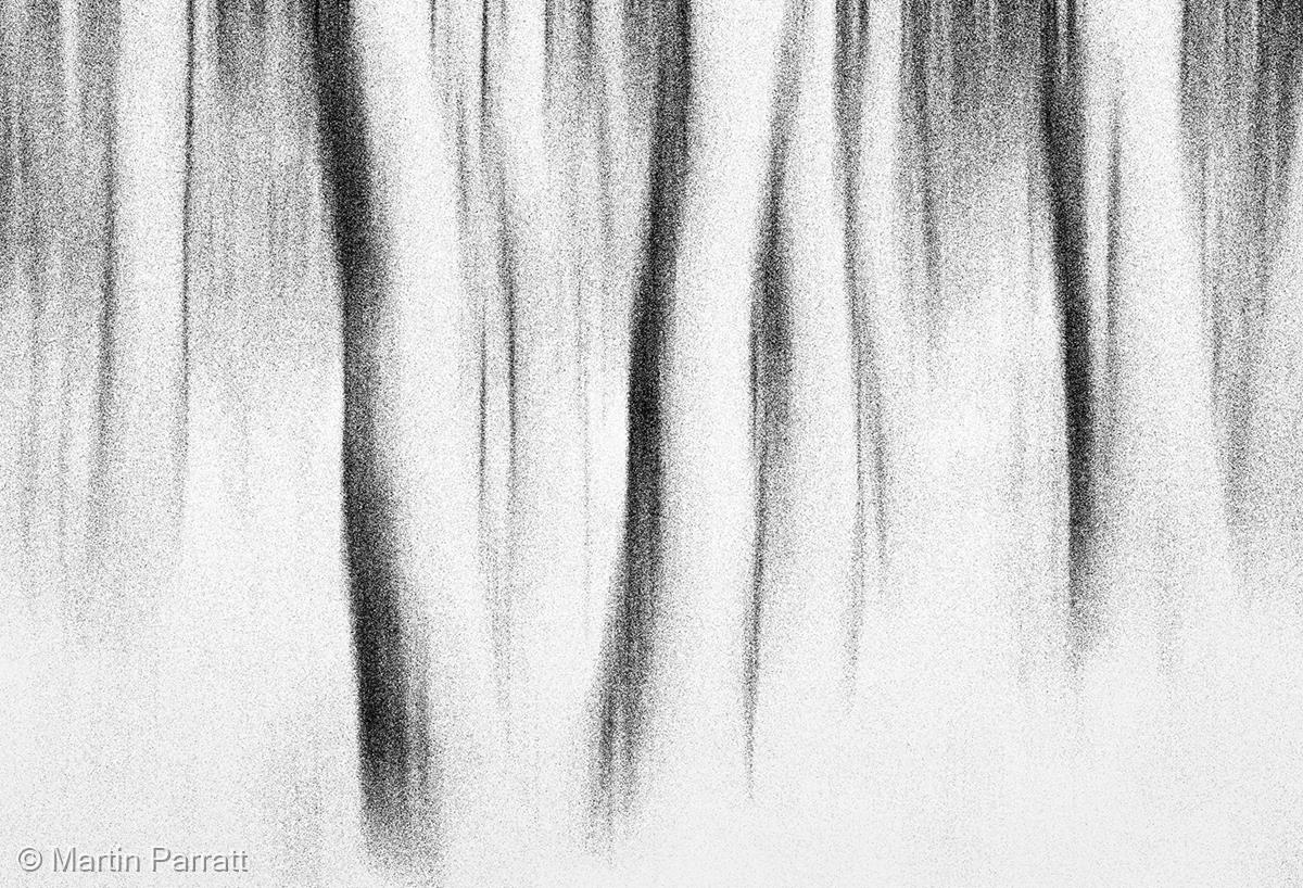 Winter Woodland by Martin Parratt