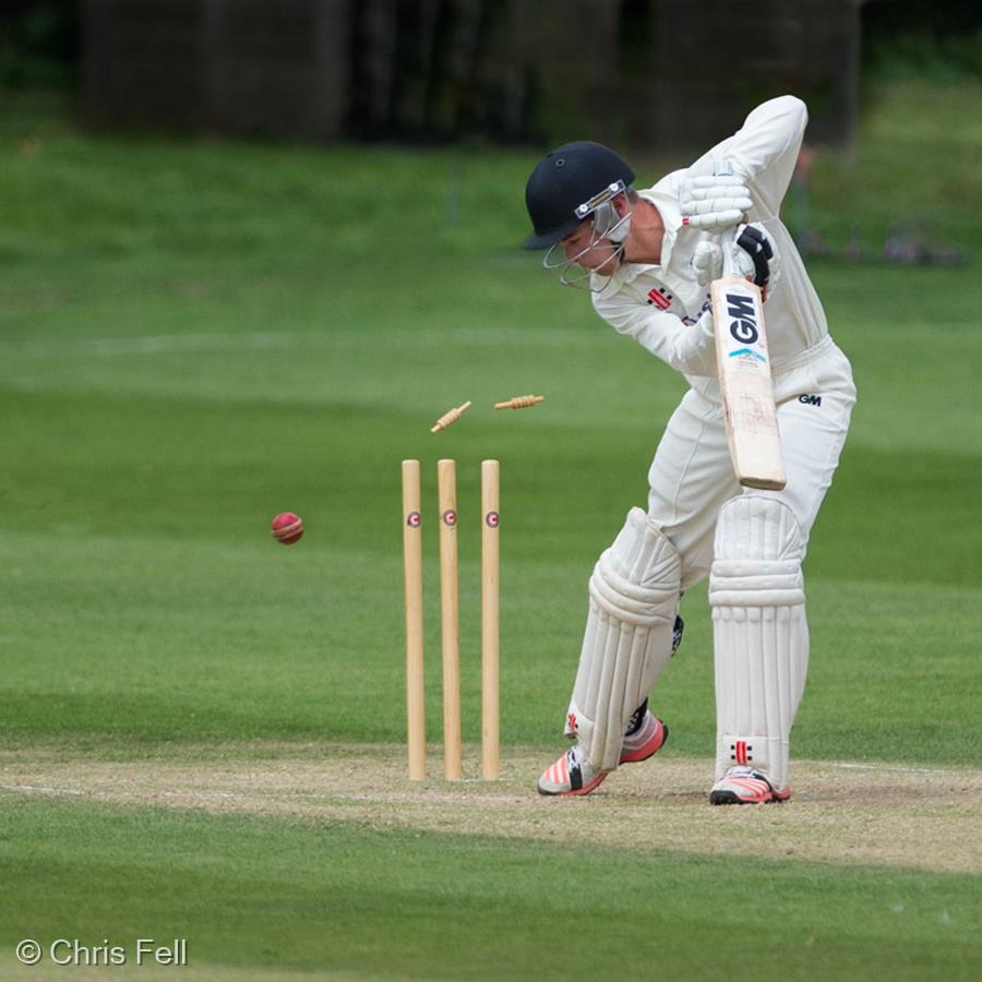Clean Bowled by Chris Fell