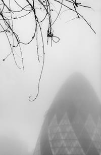 Shrouded in Mist