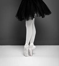 Tutu the Pointe