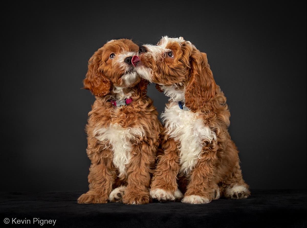 Stanley and Elsie by Kevin Pigney
