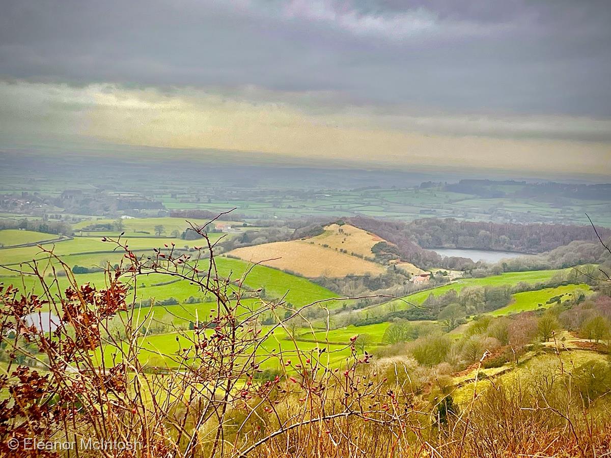 Yorkshire Views by Eleanor McIntosh