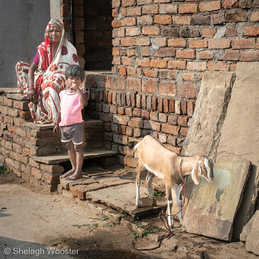 The Village Life in Sarai Mohana, India by Shelagh Wooster