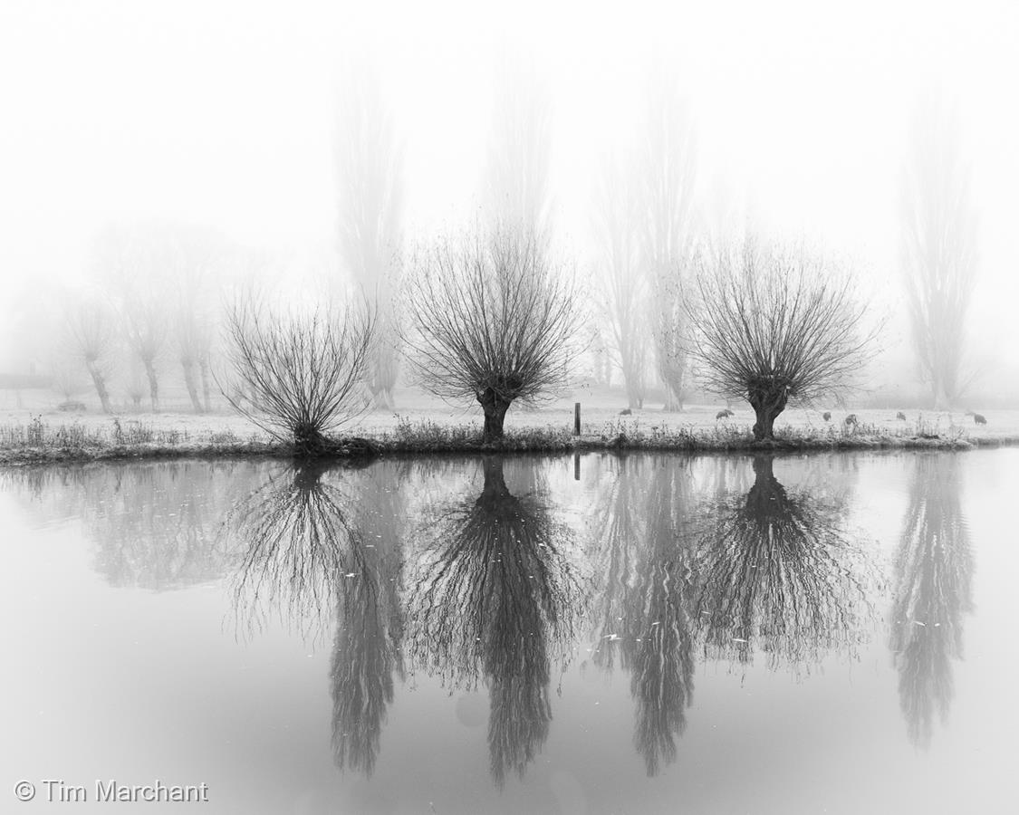 Fog on the Cam by Tim Marchant