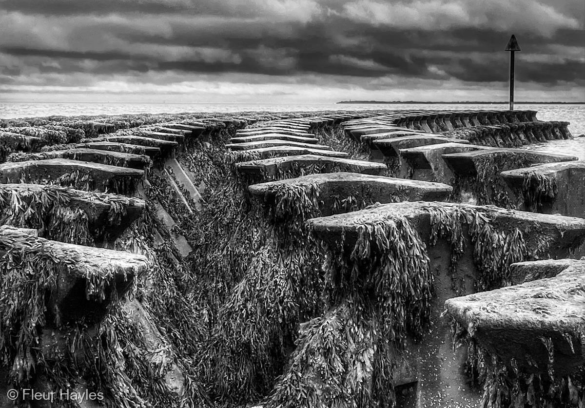 Cobbold Point at Low Water by Fleur Hayles