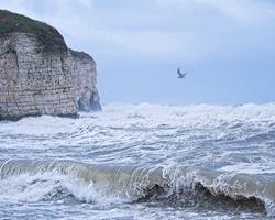 Riding the Storm