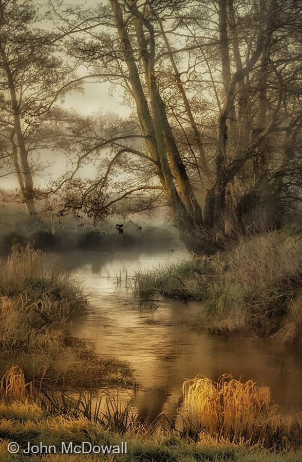 River Rib on a Misty Morning by John McDowall