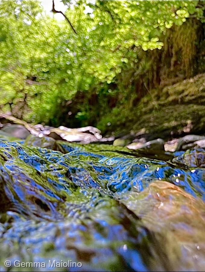 The Colour of Water by Gemma Maiolino