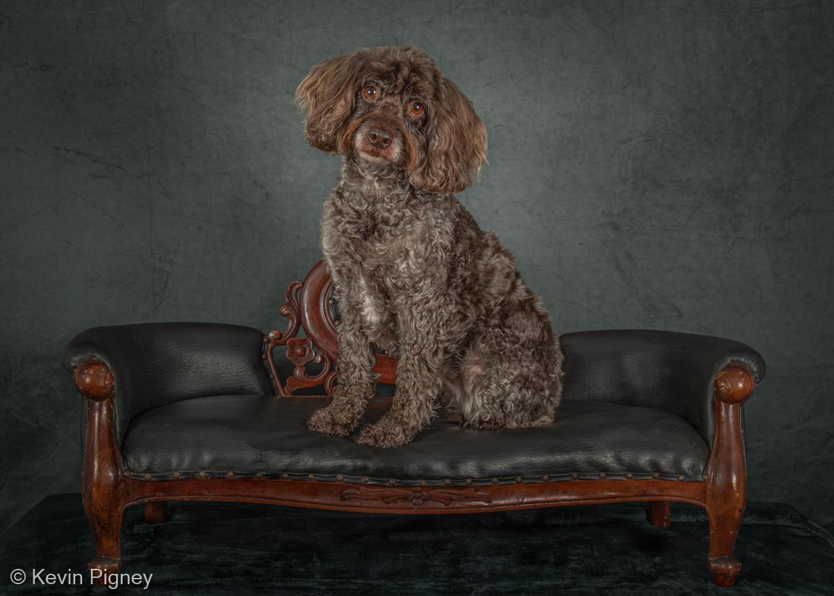 Chloe - Commissioned Portrait by Kevin Pigney