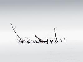 Stillness