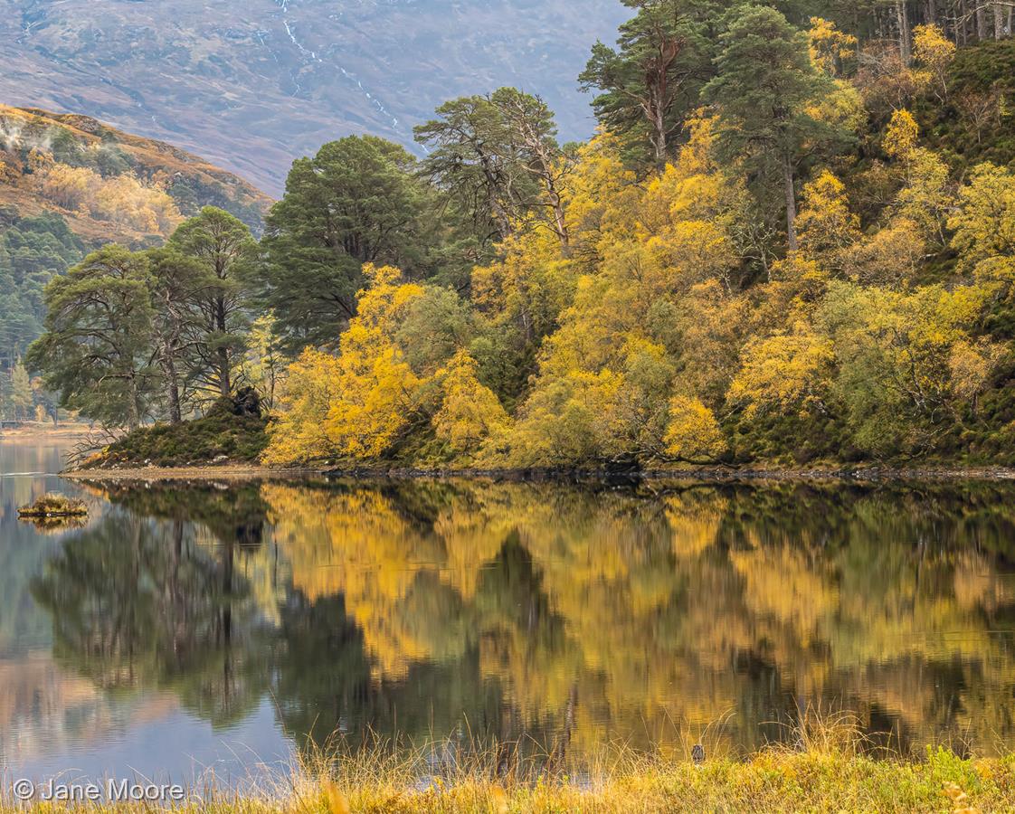 Loch Clair by Jane Moore