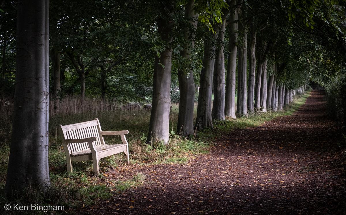 A Place to Rest in the Evening Sun by Ken Bingham