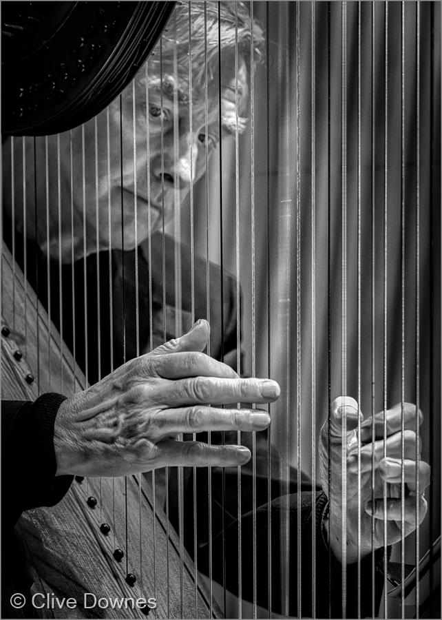 The Harpist by Clive Downes