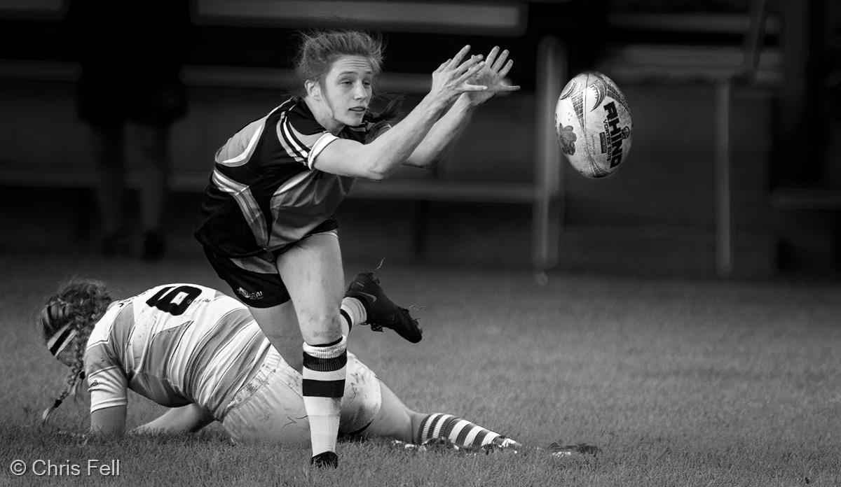 Scrum Half Action by Chris Fell