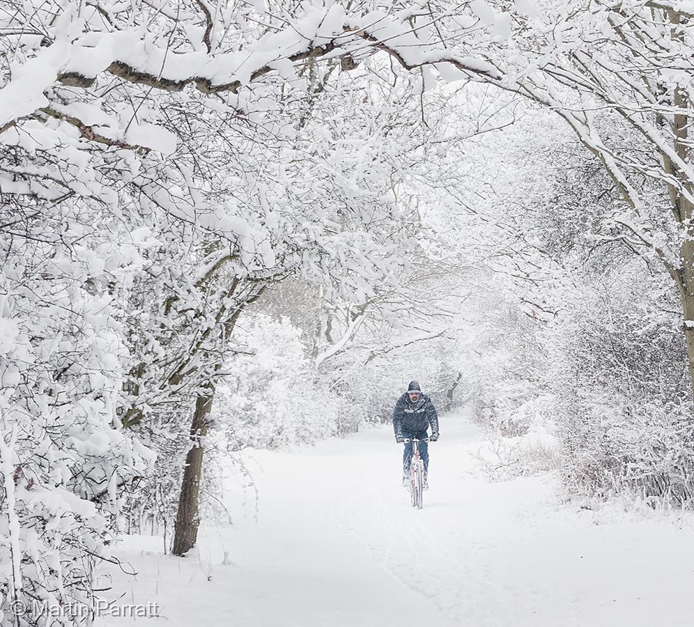 Braving the Snow by Martin Parratt