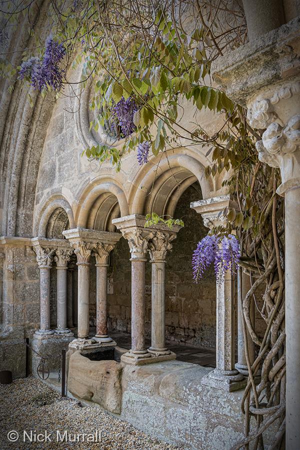 Abbaye de Fontfroide by Nick Murrall