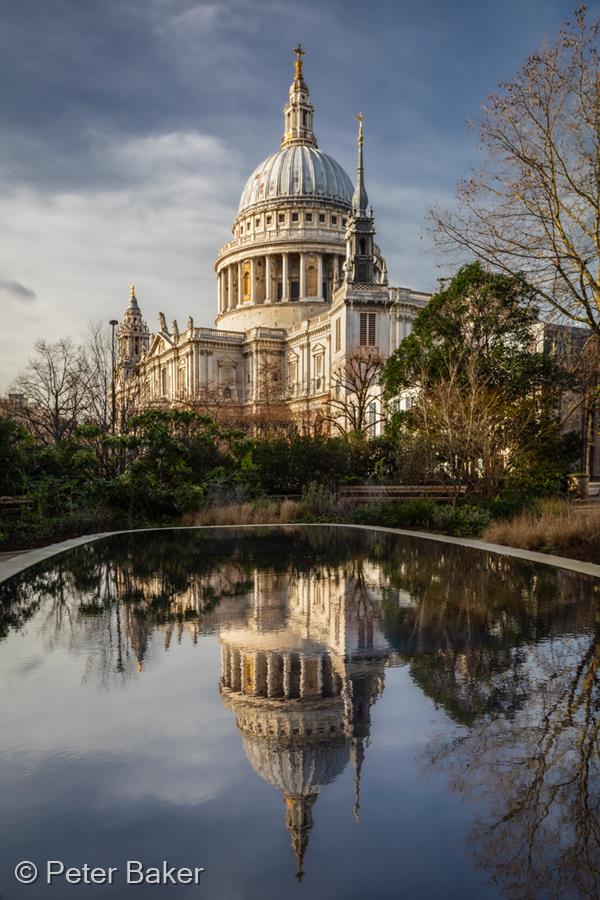 Reflected Glory by Peter Baker