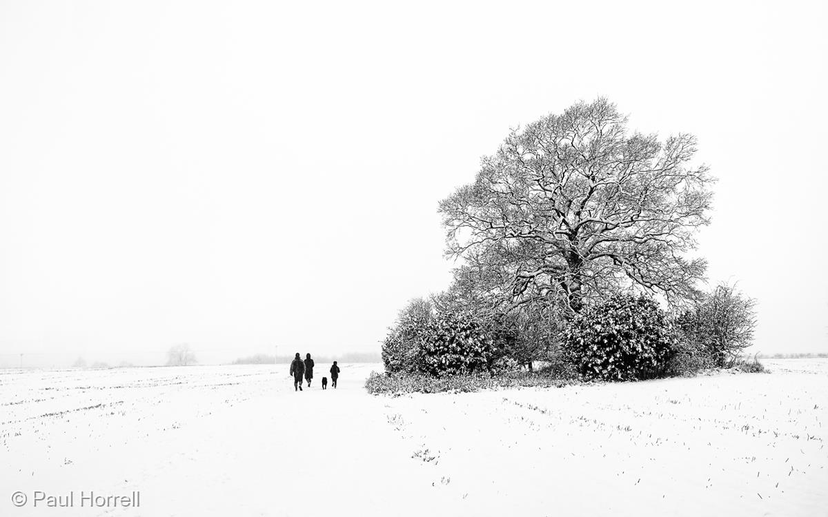 Walk Out to Winter by Paul Horrell