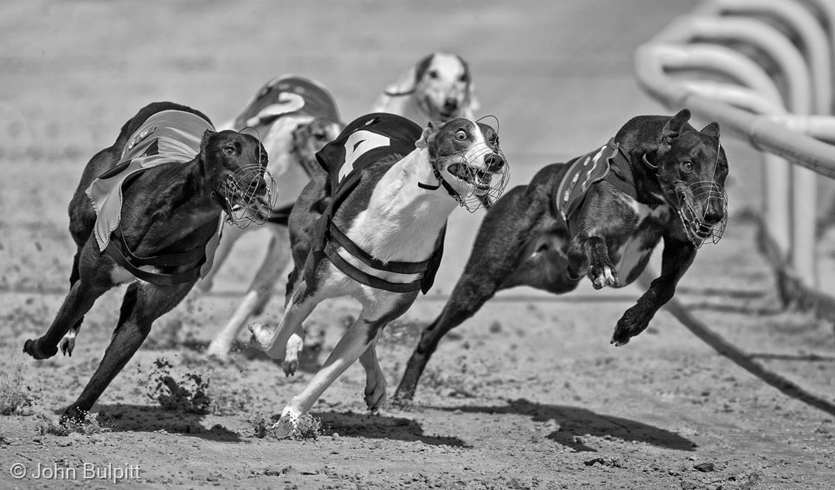 The Last Race at Brighton by John Bulpitt