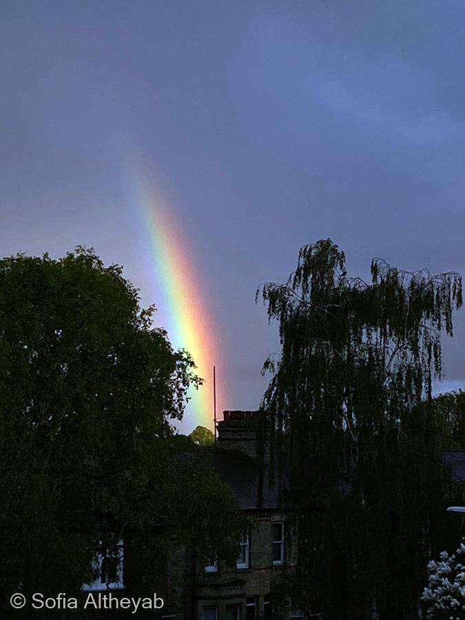 Rainbow After a Storm by Sofia Altheyab