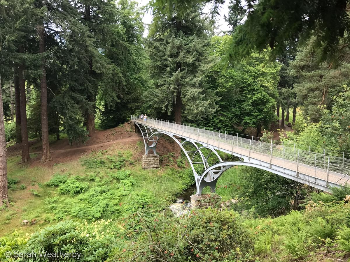 Crossing the Bridge by Sarah Weatherby