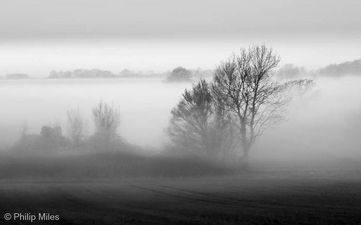 Misty Valley by Philip Miles