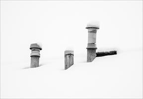 Flues in Snow