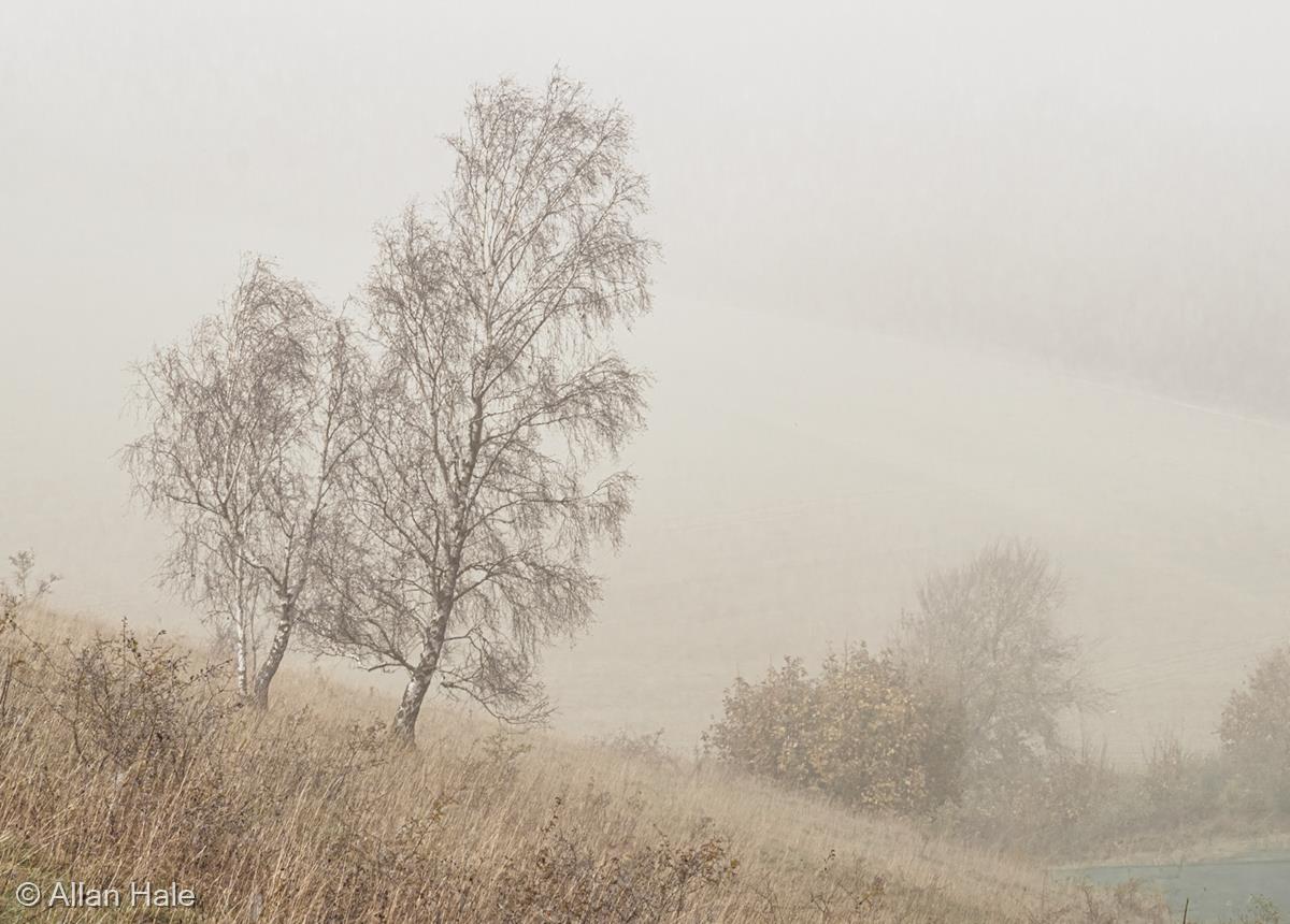 Autumn Mist by Allan Hale