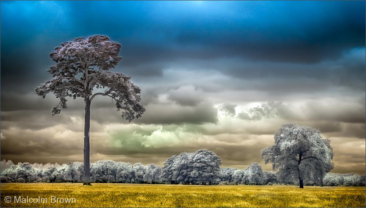 The Colours of a New IR Storm by Malcolm Brown