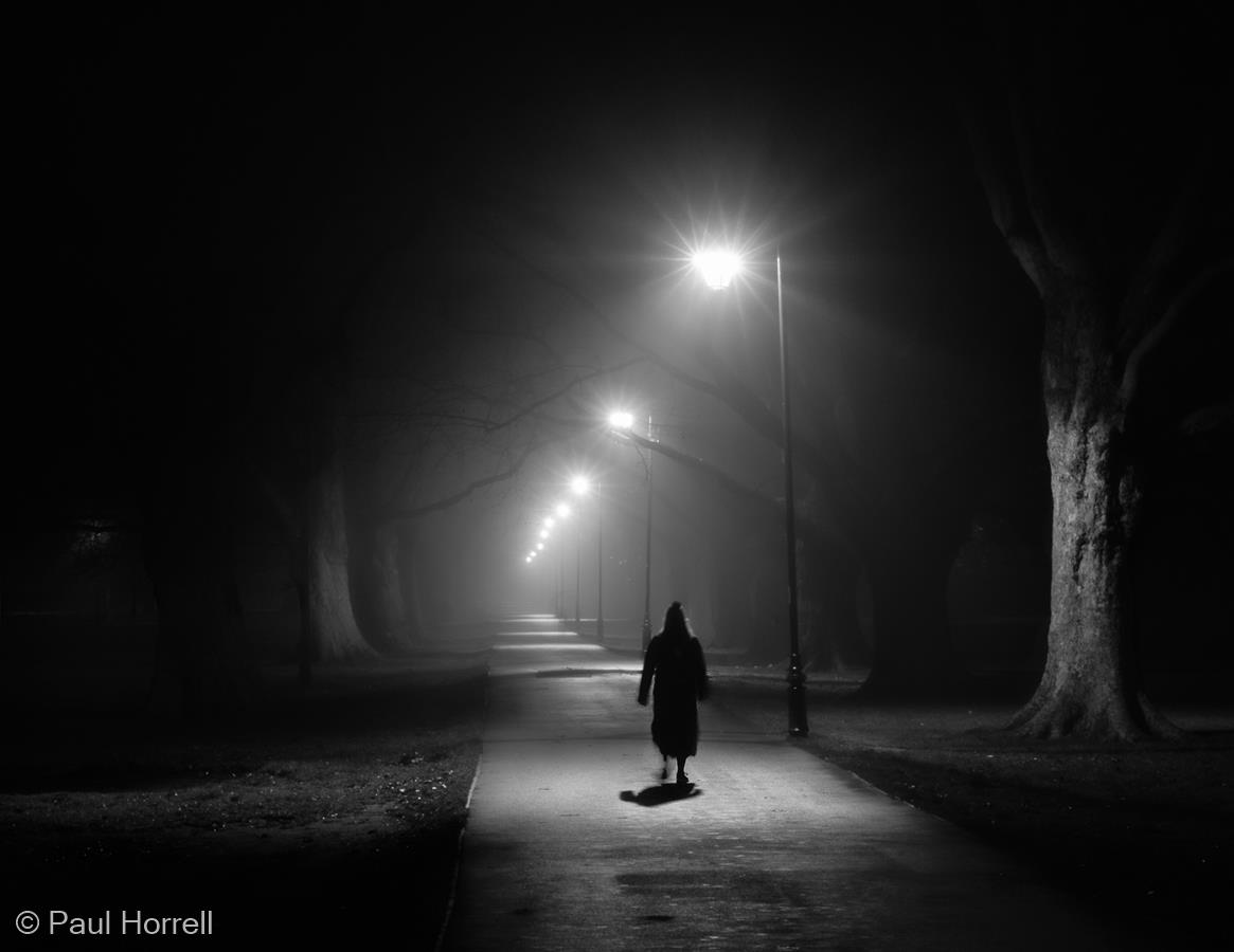 I Shall Walk Alone by Paul Horrell