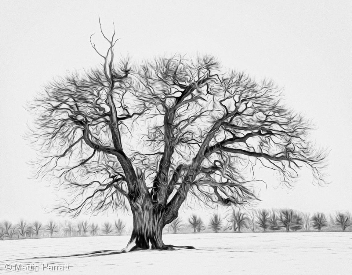 Standing Alone by Martin Parratt