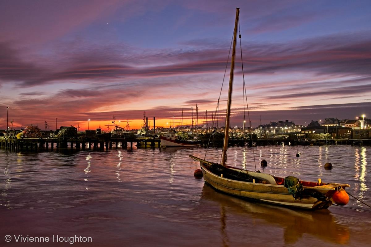 Harbour Lights by Vivienne Houghton