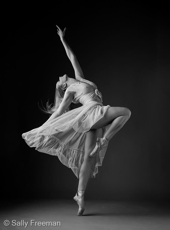 Love to Dance by Sally Freeman
