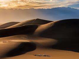 Sunset and Shadow in the Mesquite Dunes