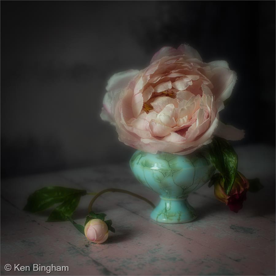 Peony in a Jade Vase by Ken Bingham