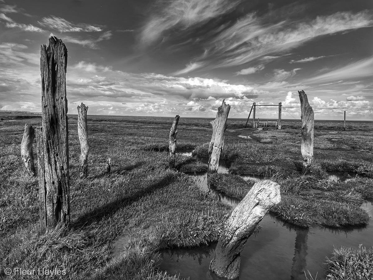 Thornham Posts by Fleur Hayles