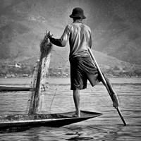 A Burmese Fisherman