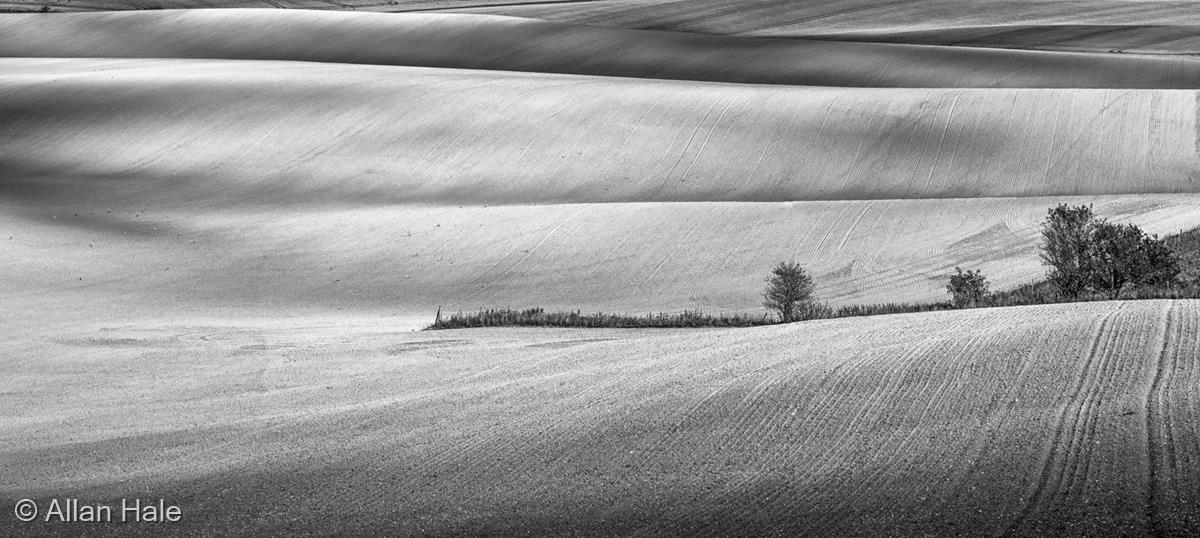 Chalk Downland by Allan Hale