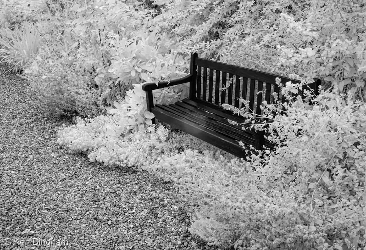 Rest Awhile (Infrared) by Ken Bingham